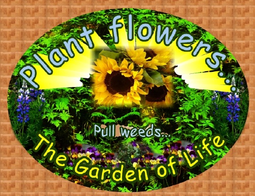 Plant Flowers Pull Weeds, The Garden of Life