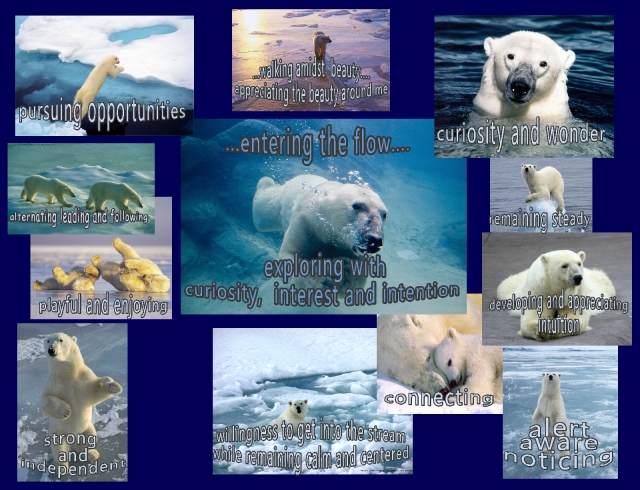polar bears 2013
