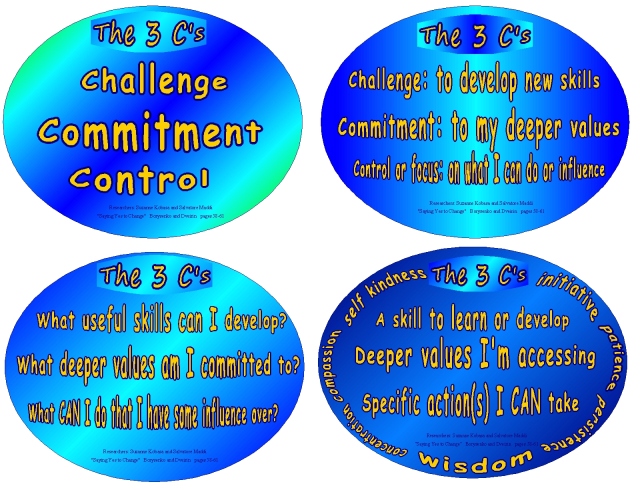 3 c's challenge commitment 4 small one varied