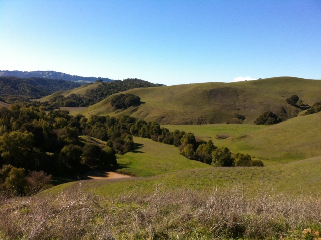 Briones hills looking toward Berkeley Hills