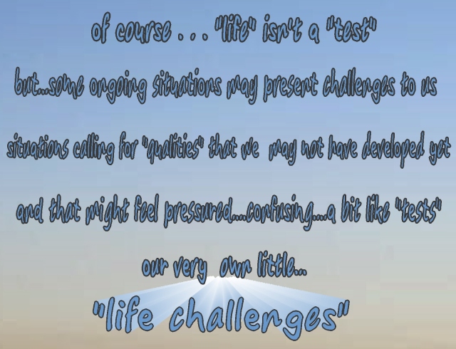 life really isn't a test...but there are challenges