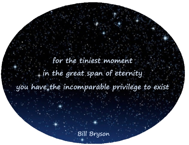 tiniest moment Bill Bryson appreciation
