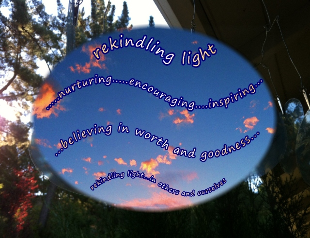 Albert Schweitzer quote  sometimes our light goes out  suncatcher