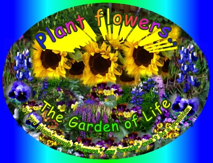 Plant Flowers, Pull Weeds, plant enough flowers and weeds won't be a problem