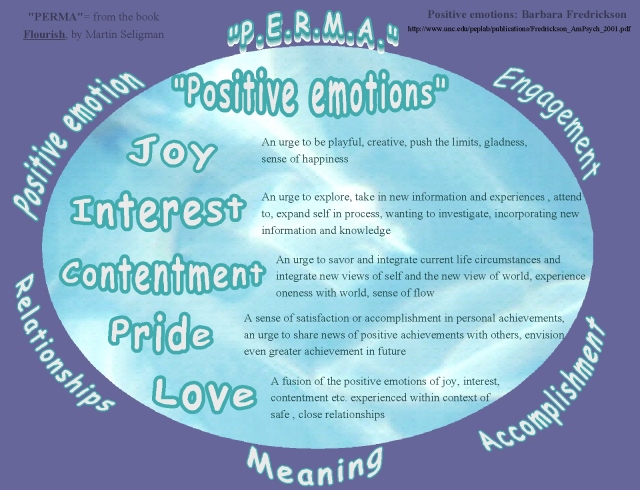flourish perma and positive emotions 2