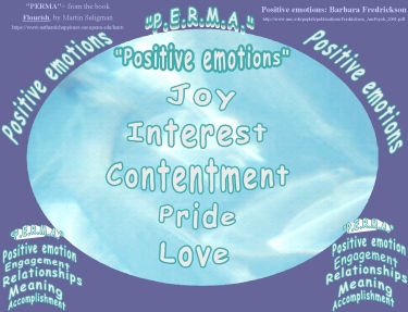 flourish perma and positive emotions combo