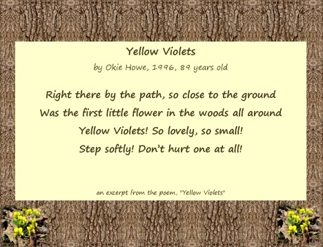Blossom of Our Hearts...Okie, yellow violet