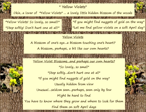 Blossom of Our Hearts okie's yellow violet poem
