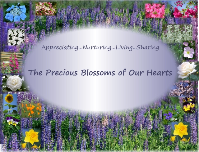 The Blossoms of Our Hearts...appreciating nurturing living sharing
