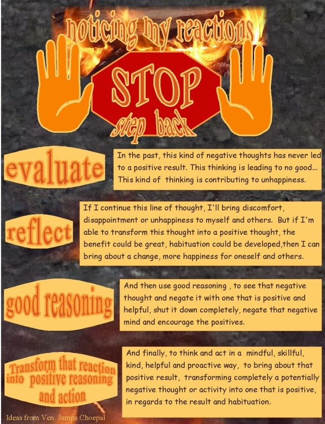 Step Back Prompt “Friday Wishes”…to develop my abilities to “Stop, Step back, Reflect ...